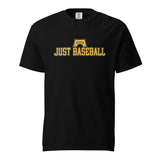 Pittsburgh Comfort Colors T-Shirt