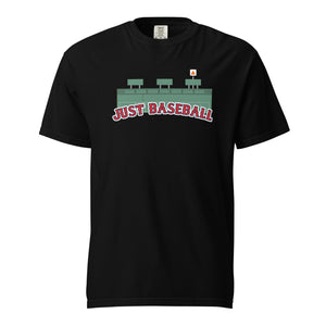 Boston Comfort Colors T-Shirt