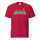 Boston Comfort Colors T-Shirt