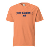 Houston Comfort Colors T-Shirt